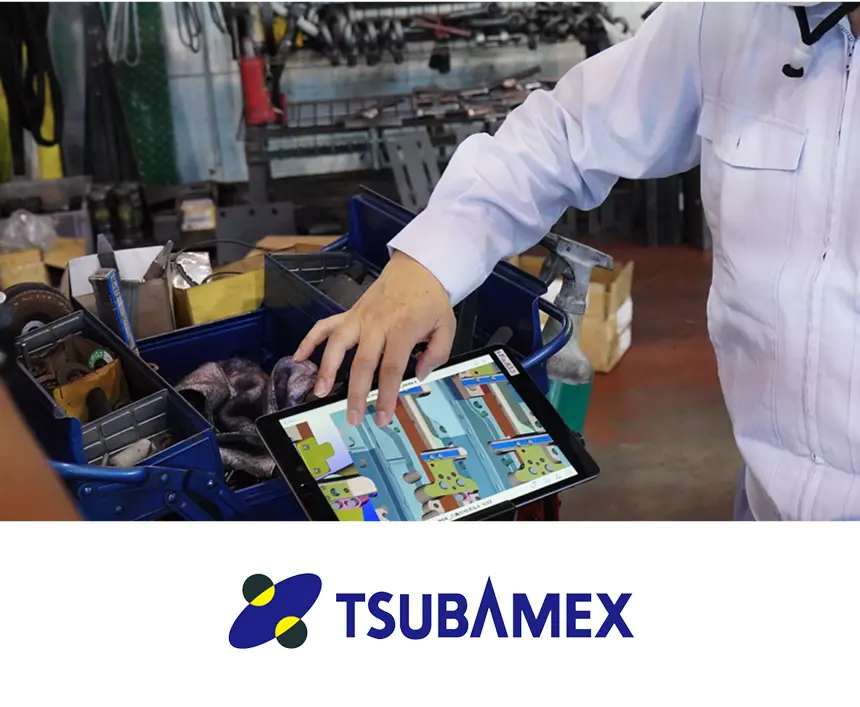 株式会社ツバメックスの課題